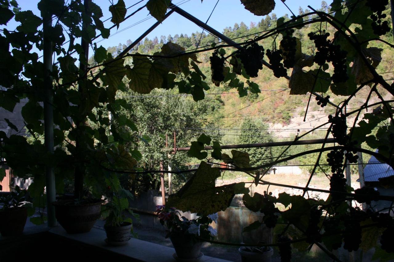 Guest House Nima Borzsomi Kültér fotó